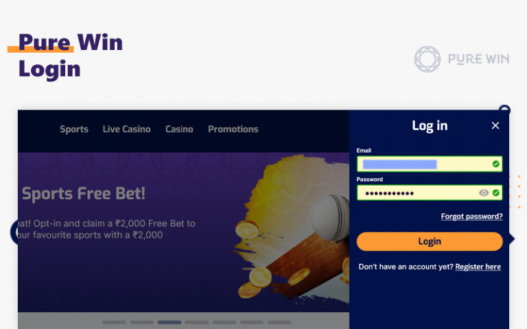 Pure Win Login Interface